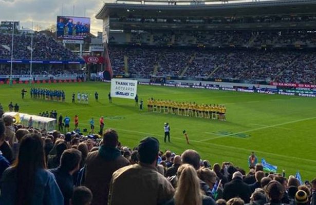 rugby in newzealand amid covid19