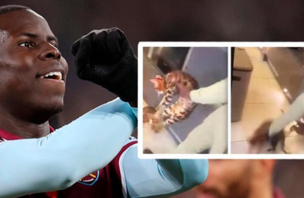 West Ham Fine Kurt Zouma "Maximum Amount" For Abusing Pet Cat