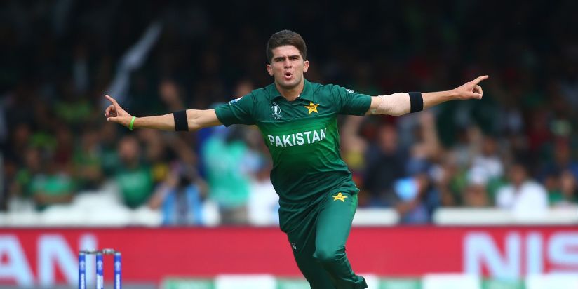 Shaheen Afridi Celebrating