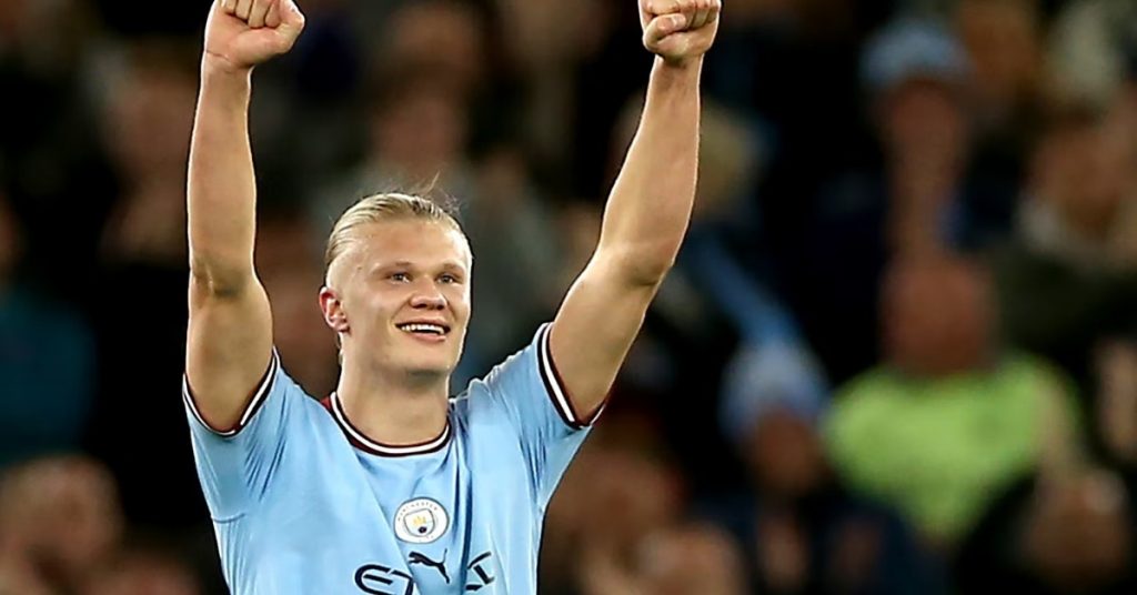 Premier League Single Season Goal Scoring Player