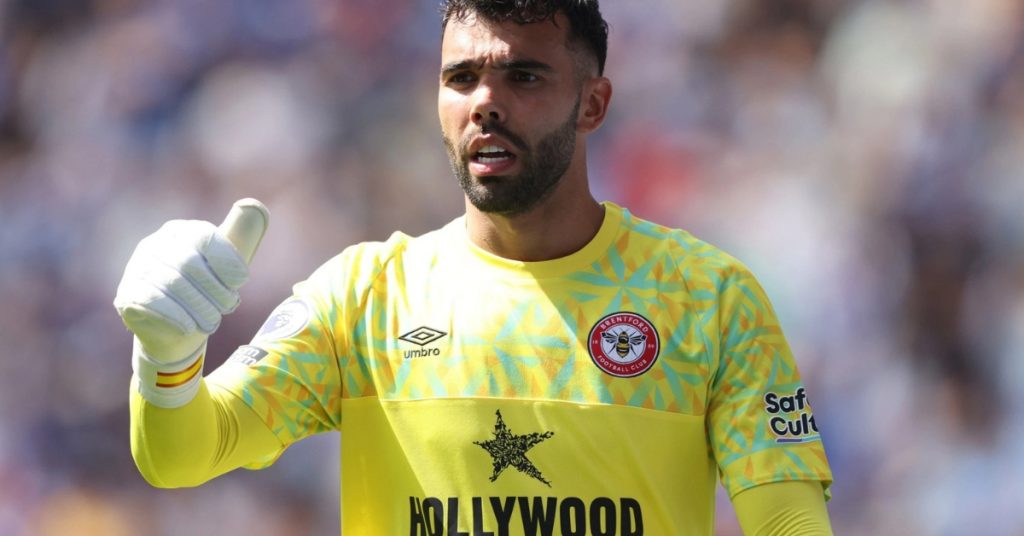 Goalkeeper David Raya