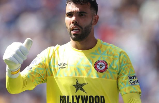 Goalkeeper David Raya