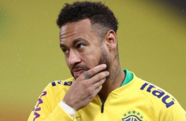 Brazil Fan leaves Everything